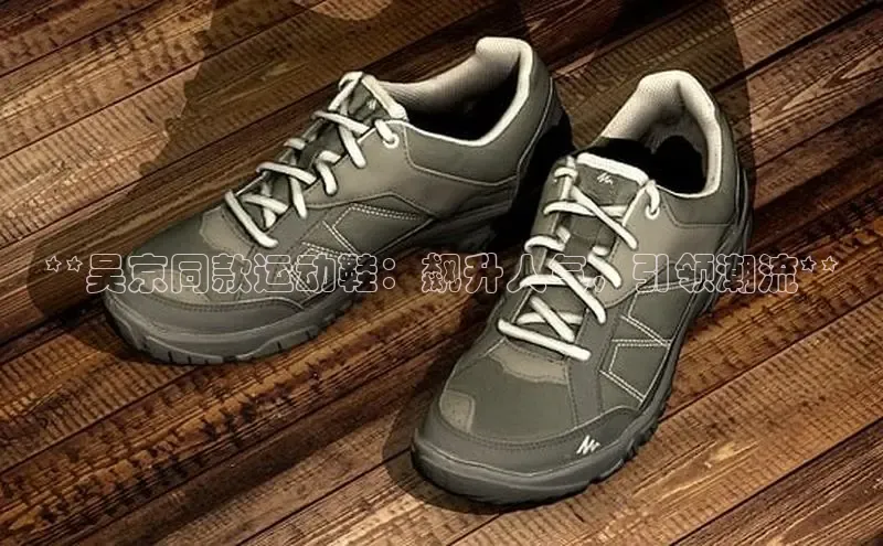 意昂3入口登录赛富乐斯**吴京同款运动鞋：飙升人气，引领潮流**