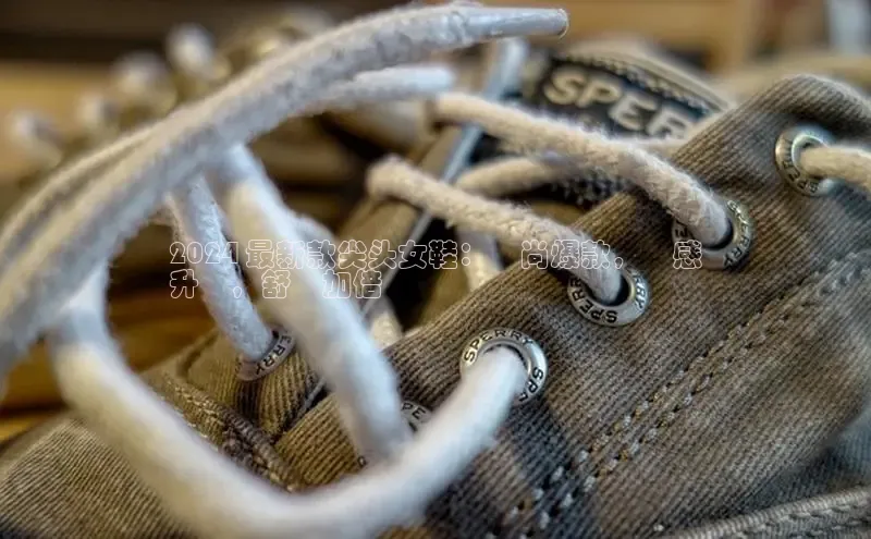 意昂三登录入口百度 H52024 最新款尖头女鞋：時尚爆款，質感
升級，舒適加倍