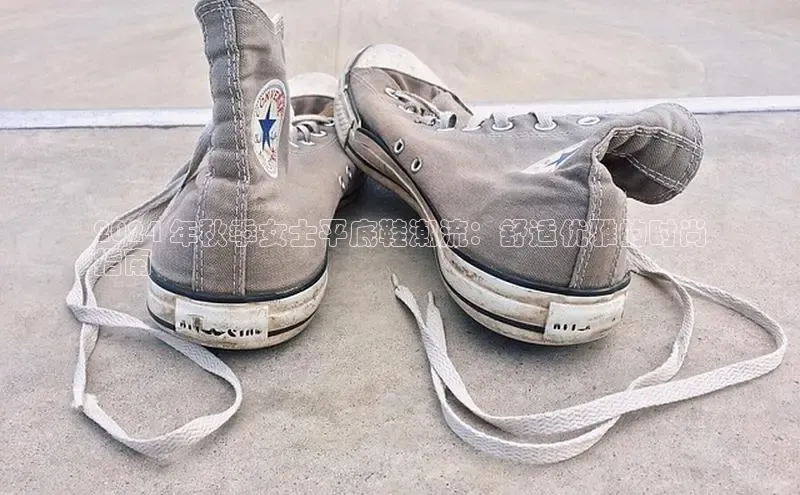 意昂体育3娱乐用176五八27从百度百聘2024 年秋季女士平底鞋潮流：舒适优雅的时尚
指南