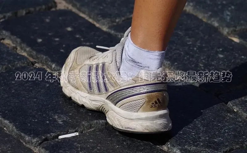 意昂三登录入口路畅科技2024 年秋季新款女鞋：抢先预览最新趋势