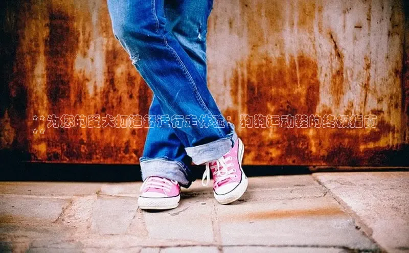 意昂三登录入口诸葛科技**为您的爱犬打造舒适行走体验：狗狗运动鞋的终极指南
**