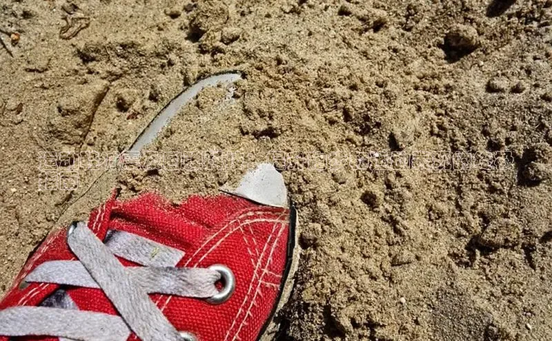 意昂3官方网页度小满理财运动鞋减震及回弹科技：提升跑步和运动表现的终极
指南