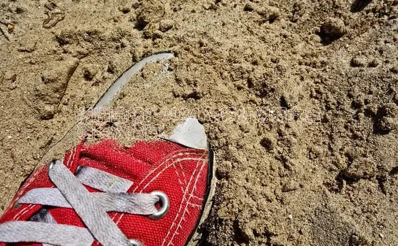 意昂3官网登录百度学术闪耀登场：2024 年带灯闪亮女童
鞋终极指南