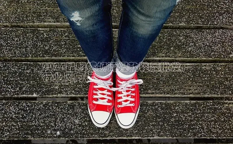 意昂3官网入口百度识图2024昆明螺蛳湾爆款鞋履批发，
行业风向标