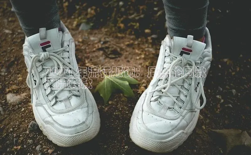 意昂3官网登录百度学术2024 年流行服饰：周杰伦同款
潮流鞋款