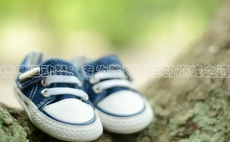 意昂3登陆入口如流德甲运动鞋：专为胜利而生的巅峰之选