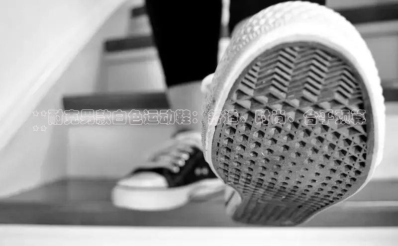 意昂3入口登录百度大脑**耐克男款白色运动鞋：舒适、时尚、合乎预算
**