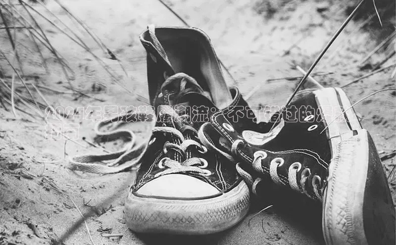 意昂3手游平台官网云创智行2024年男孩鞋履潮流：不可错过的爆款
指南