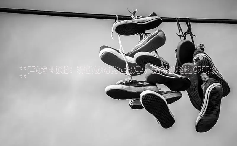 意昂三登录入口路畅科技**声乐运动鞋：释放你的内在歌手，提升你的跑步表现
**