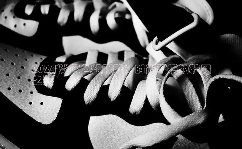 意昂3官网登录百度集团2024 淡蓝色粗跟鞋：时尚百搭的鞋履
之选