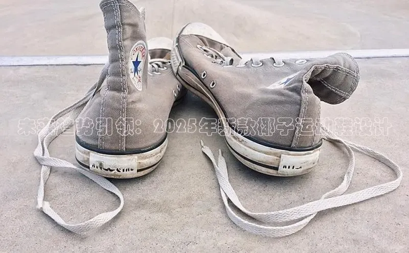 意昂3官网登录百度学术未来趋势引领：2025年新款椰子运动鞋设计