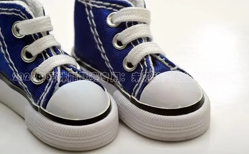 2025中考体能竞赛专用：未来趋势的运动鞋设计